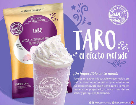 BASE BIG TRAIN DRAGON FLY TARO BOLSA 1590 GRAMOS