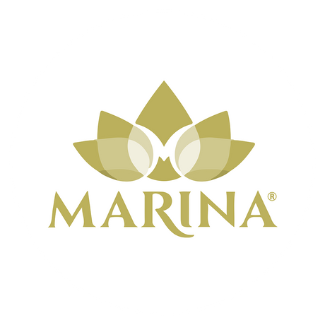 Logo de Marina, marca especializada en productos naturales y gourmet para cafeterías, teterías y negocios del sector horeca. Diseño elegante con símbolo floral en tonos dorados, ideal para identidad visual de productos premium.