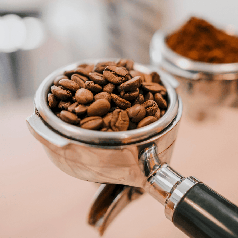 Café en grano Especialidad 1 Kilogramo para cafeterías | Kitchen Experts KEX