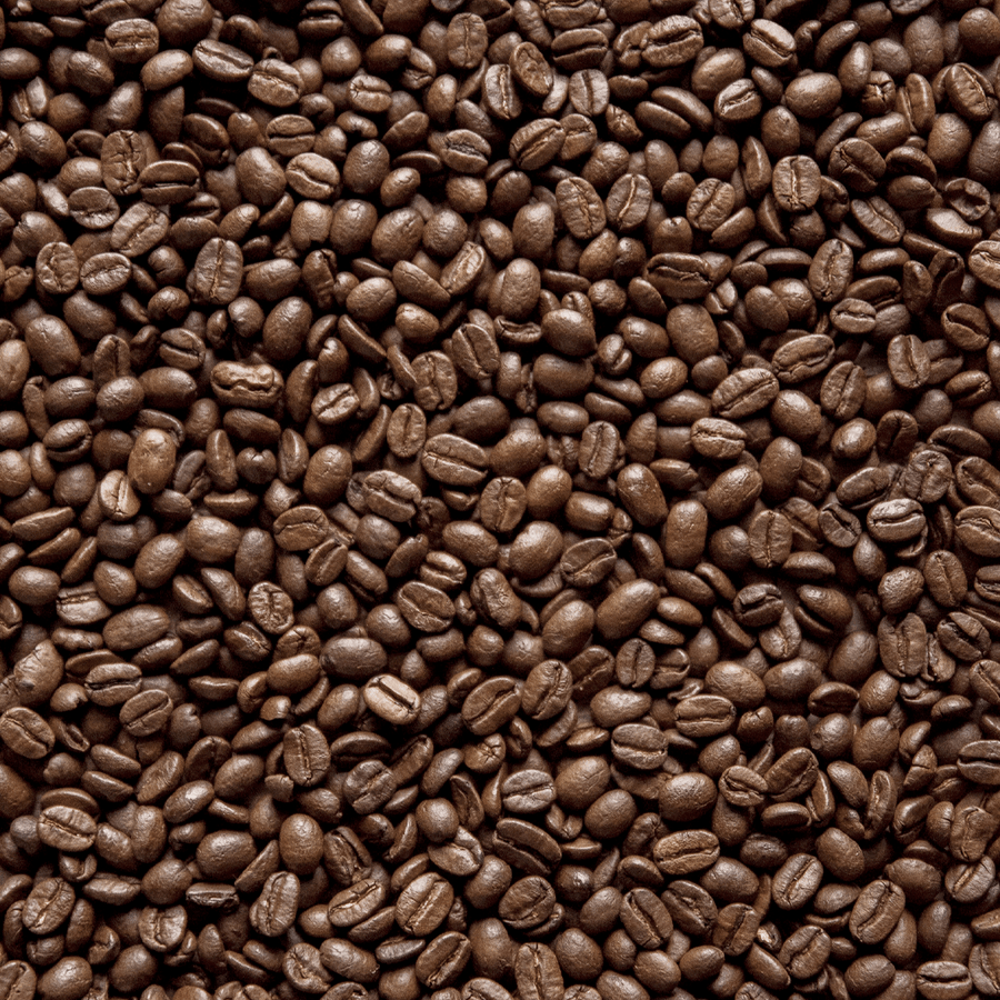 Café en grano Veracruz Mexicano Auténtico Aromático 1kg para cafeterías | Kitchen Experts KEX