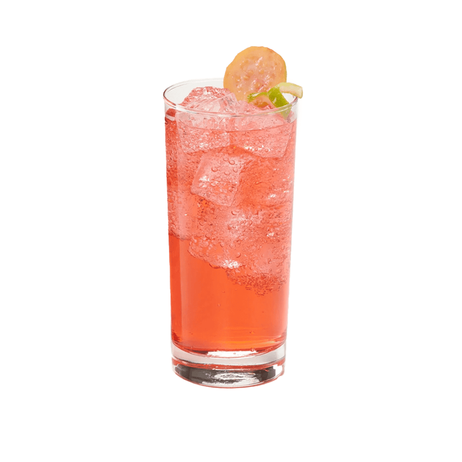 JARABE DAVINCI SABOR GUAVA BOTELLA 750 ML - Kitchen Experts KEXJarabesDavinciKitchen Experts KEX