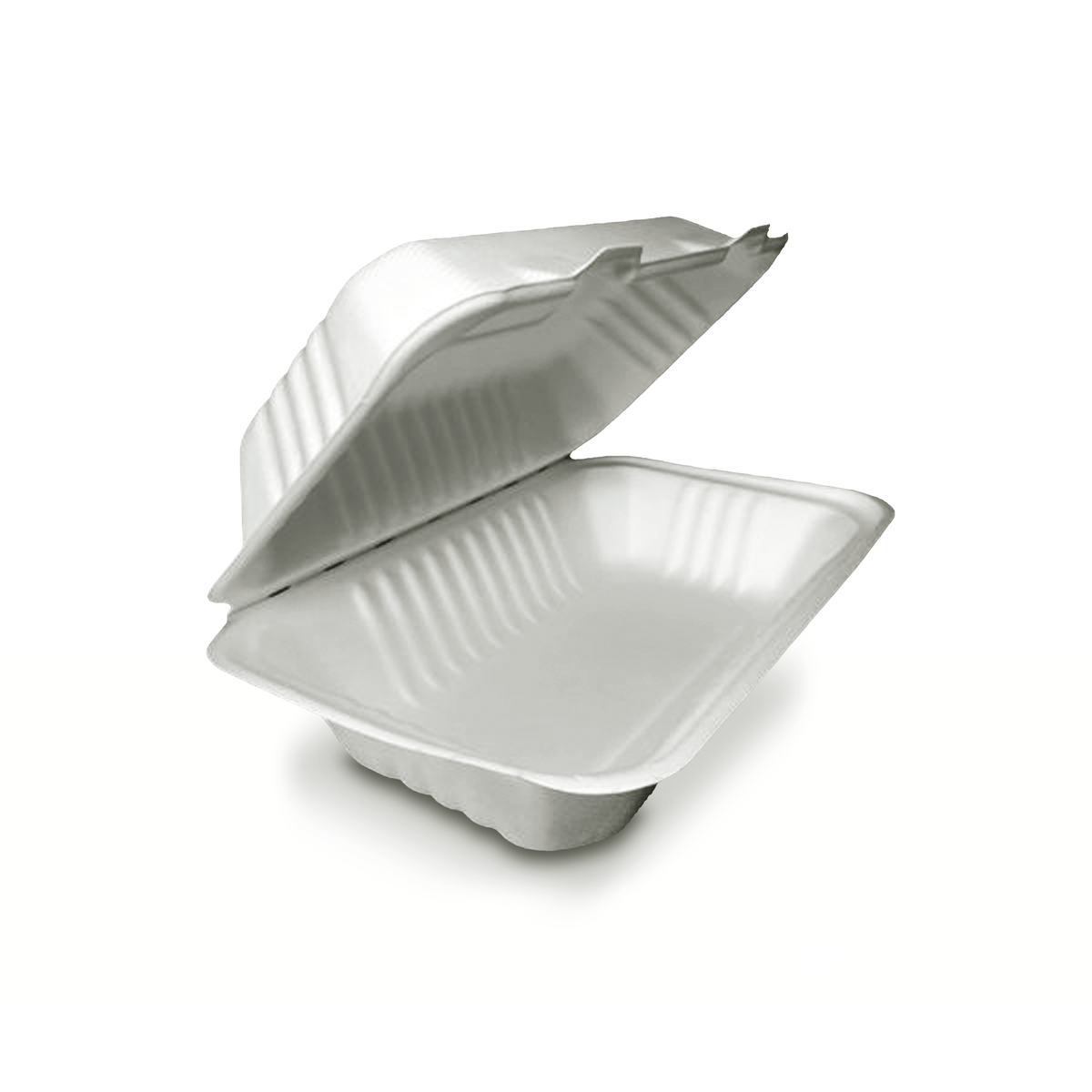 Clamshell Contenedor Biodegradable 22x14 cm | Paquete 50 pzs