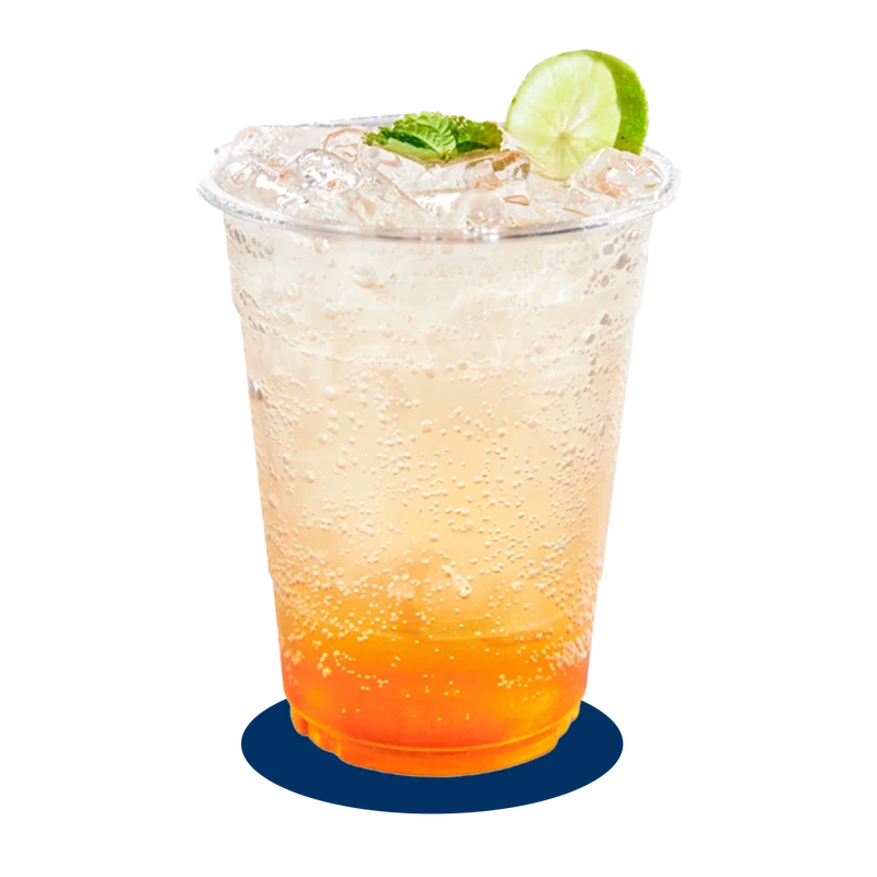 Bebida refrescante
